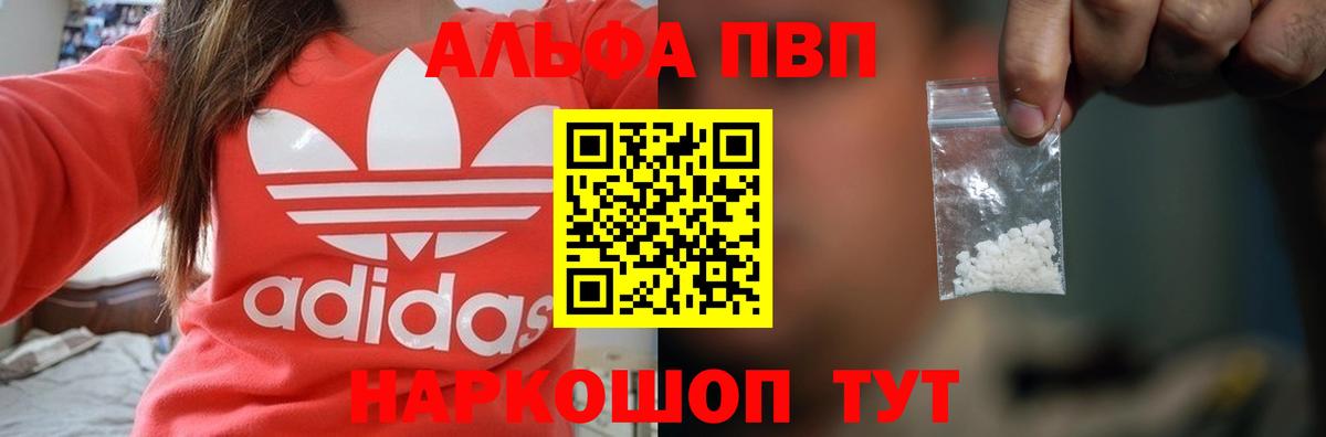 A PVP СК Солнечногорск
