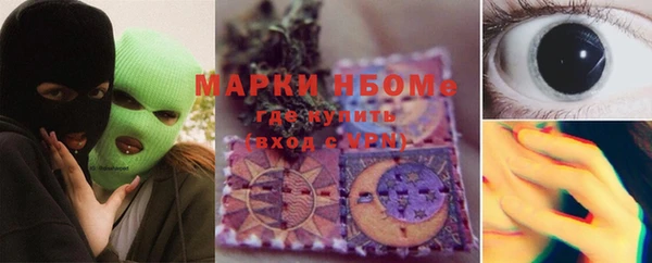 тгк Инсар