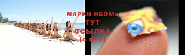 дмт Инта