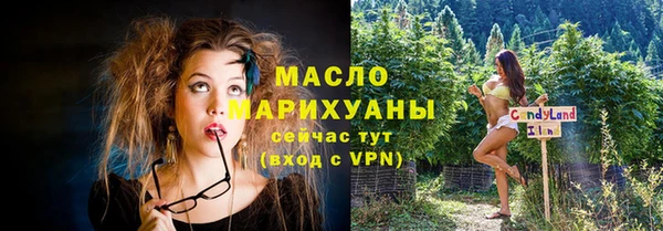 тгк Инсар