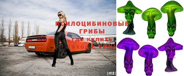твердый Пролетарск