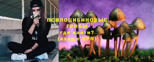 прущая мука Приозерск