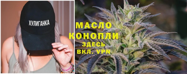 тгк Инсар