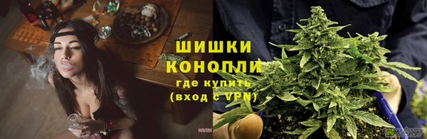 амф Протвино
