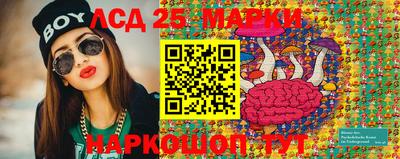 индика Гай