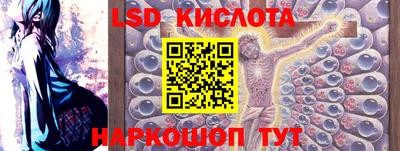 прущие грибы Гатчина