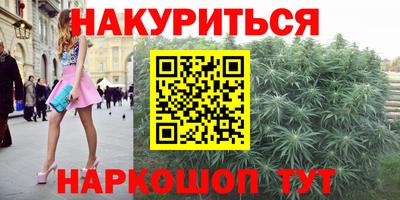 прущие грибы Гатчина