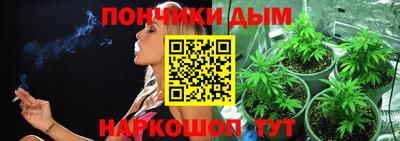 индика Гай