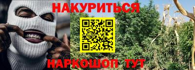 прущие грибы Гатчина