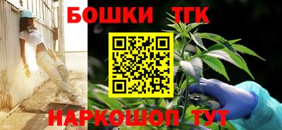 прущие грибы Гатчина
