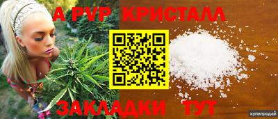 прущие грибы Гатчина
