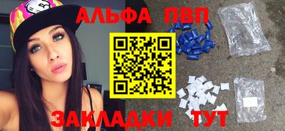 индика Гай