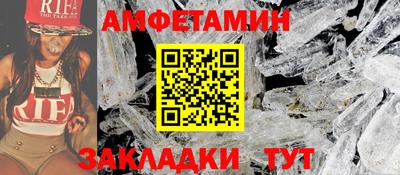 прущие грибы Гатчина