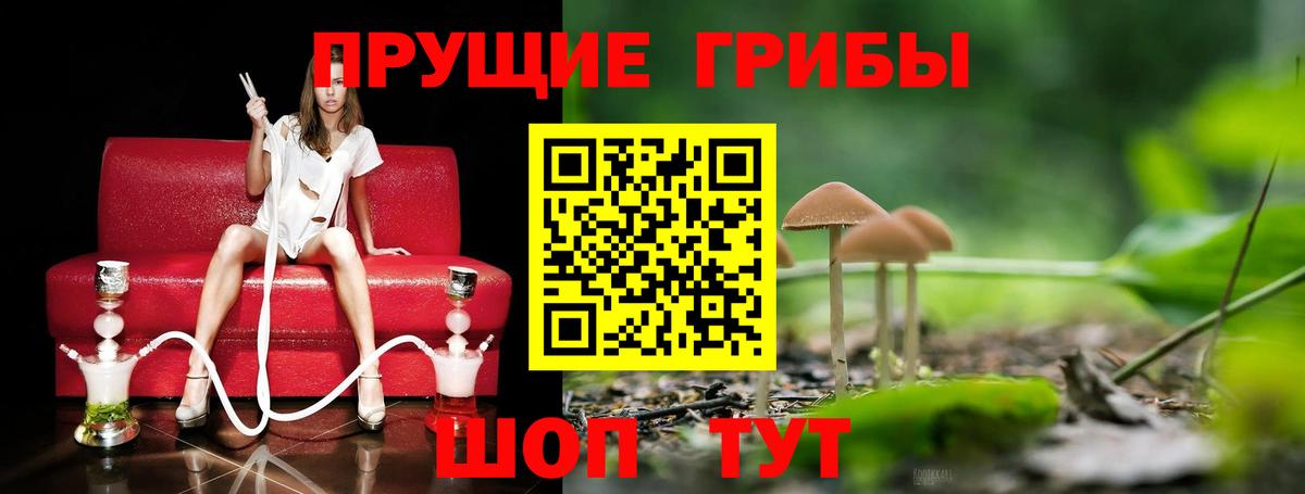 Галлюциногенные грибы MAGIC MUSHROOMS  Вход с VPN  Солнечногорск 